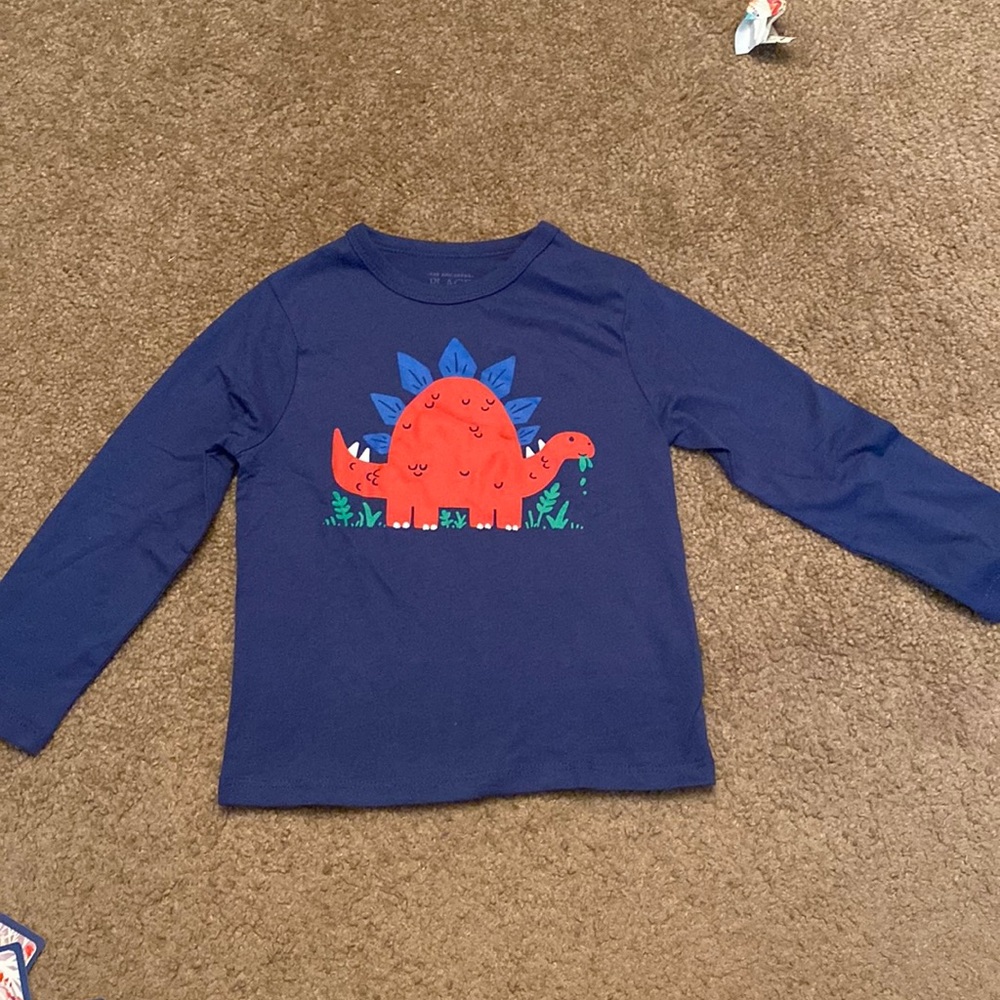 The childrens place long sleeved shirt. Boys 2T